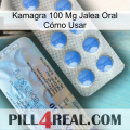 Kamagra 100 Mg Jalea Oral Cómo Usar 39